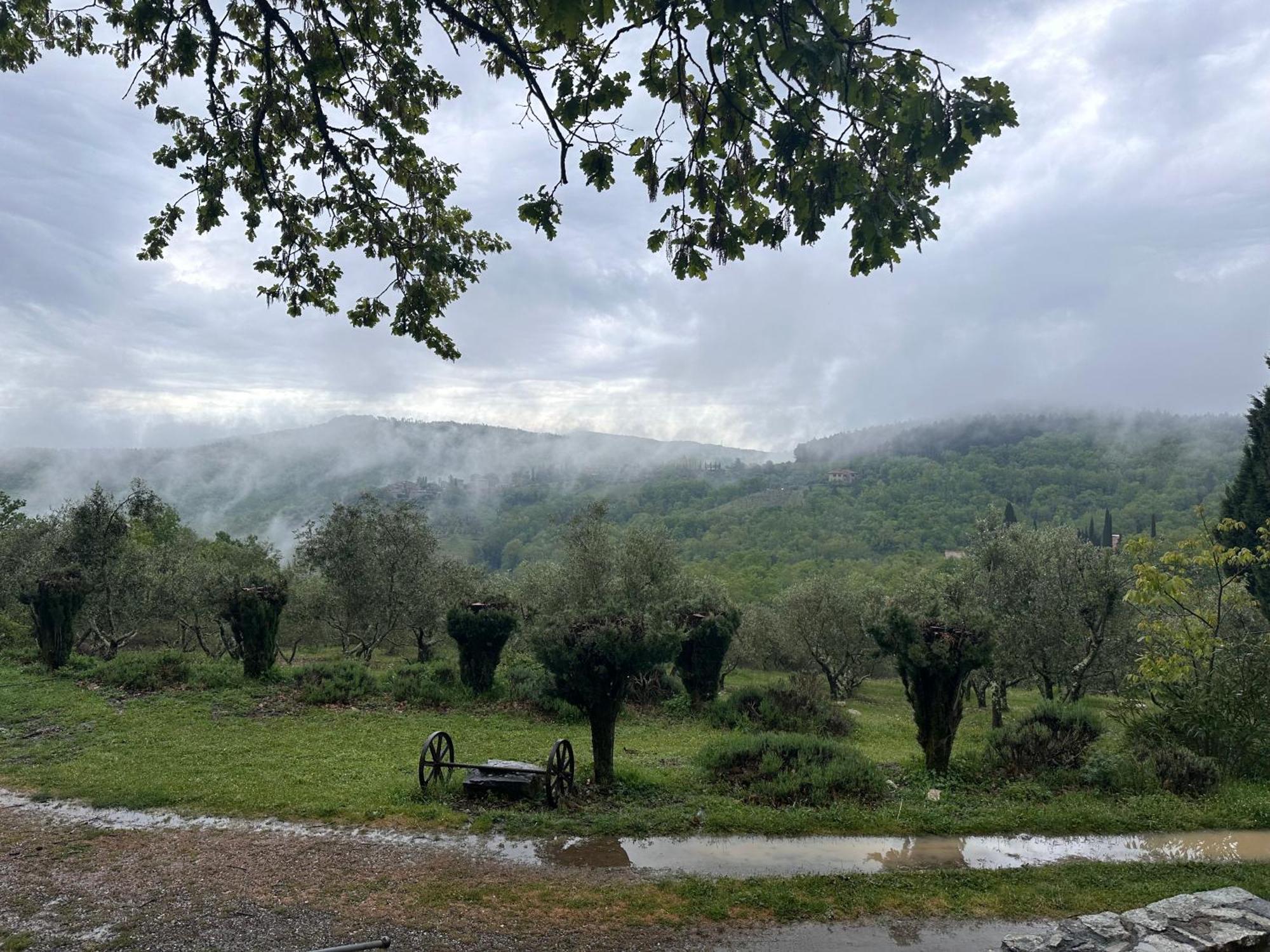 Podere Sagna Кастелина ин Шианти Экстерьер фото