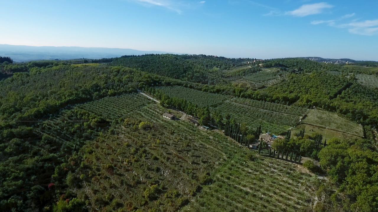 Podere Sagna Кастелина ин Шианти Экстерьер фото